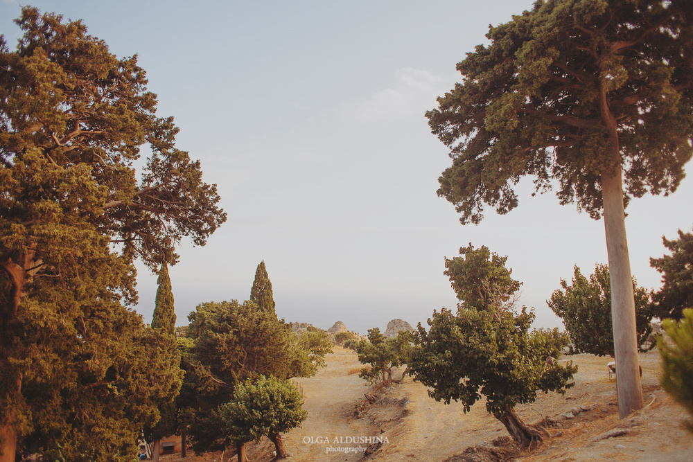 Ira & Vadim. South Crete