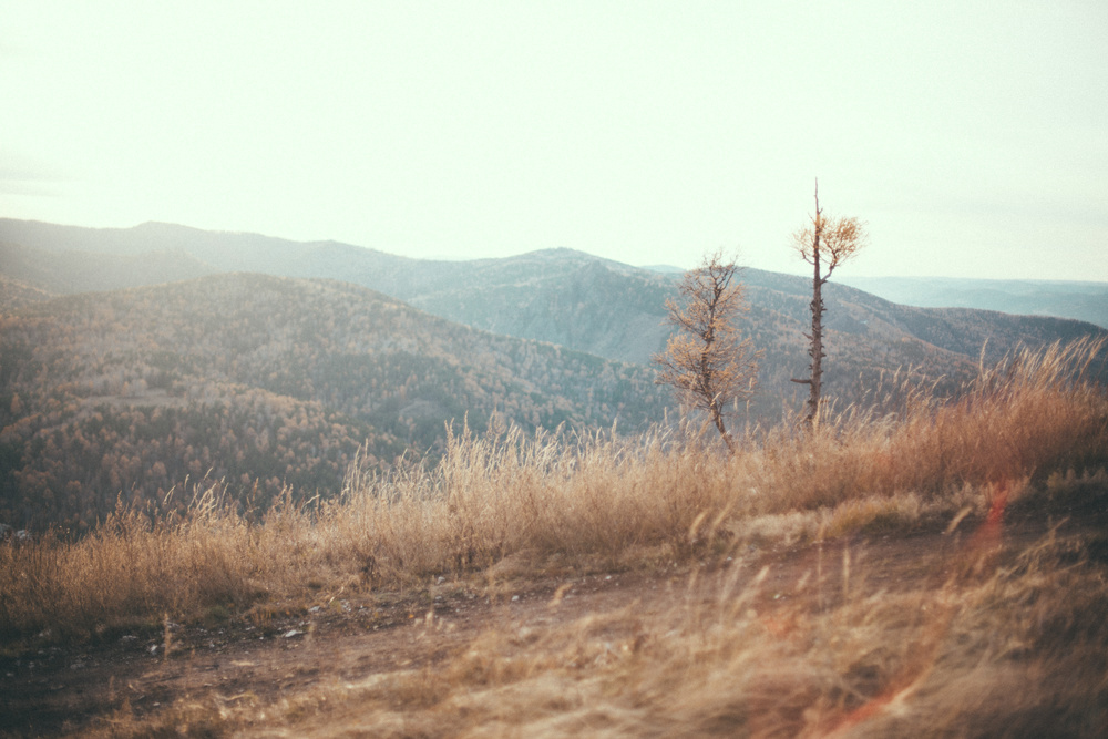 Love Story // Fall harvest