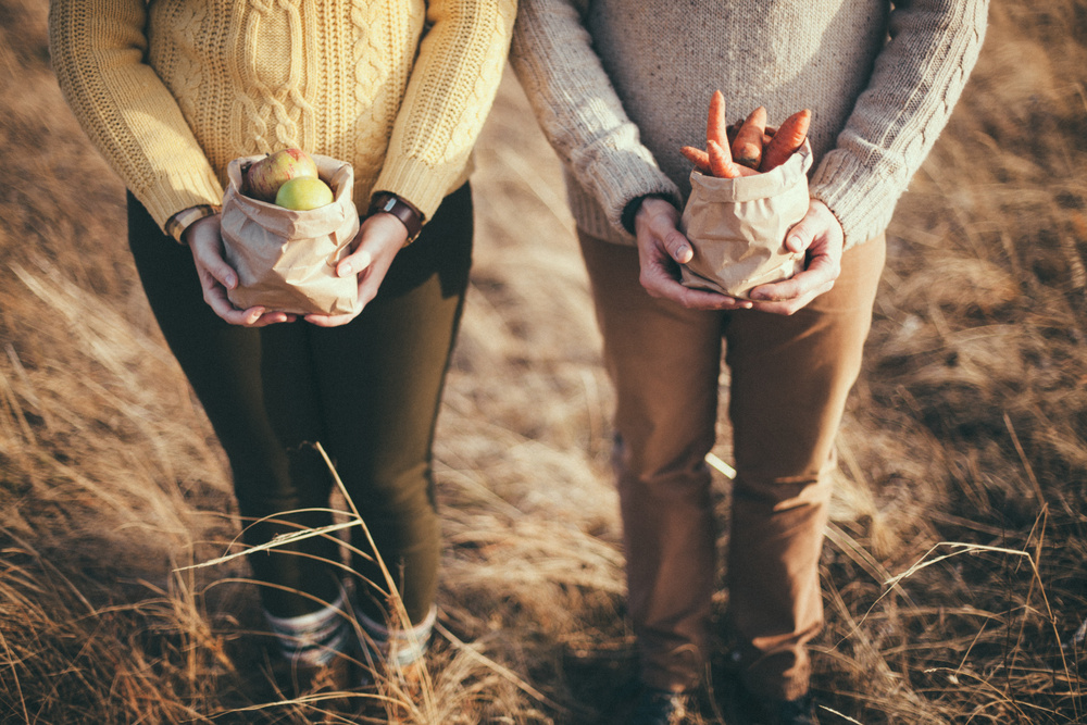 Love Story // Fall harvest