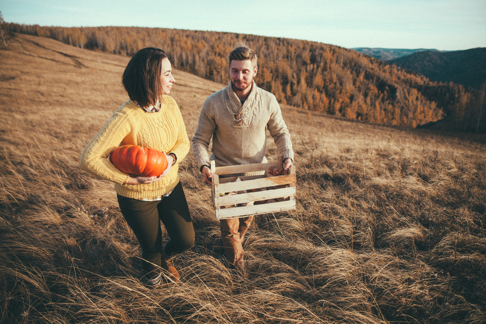 Love Story // Fall harvest
