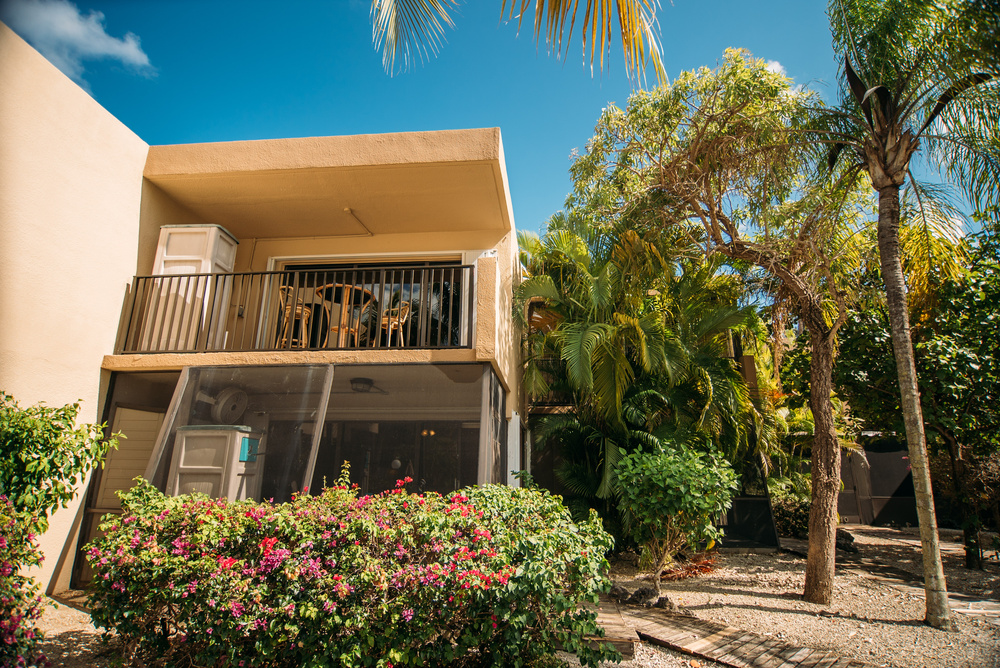 REAL ESTATE TOURS