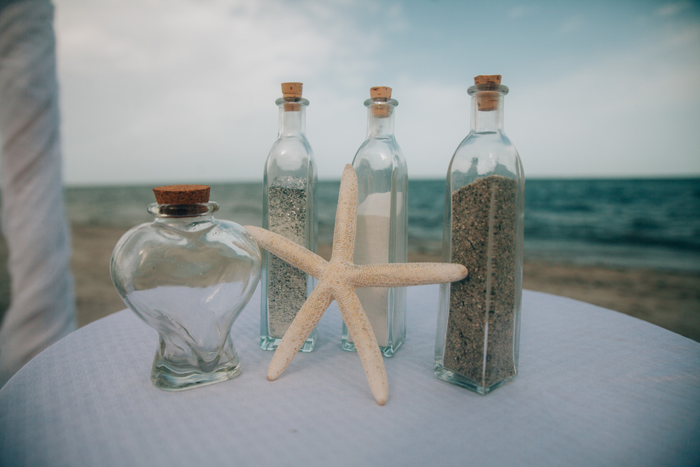 Robert and Elina beach wedding
