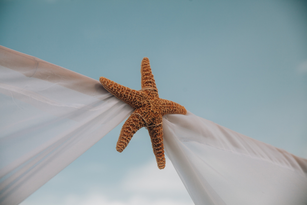 Robert and Elina beach wedding