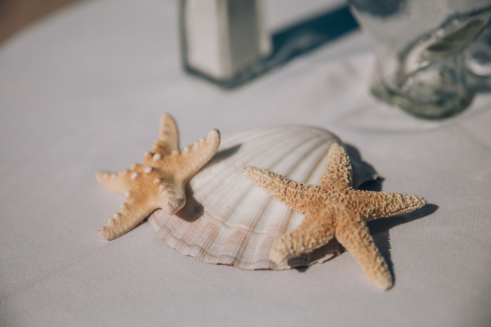 J + J. Beach wedding