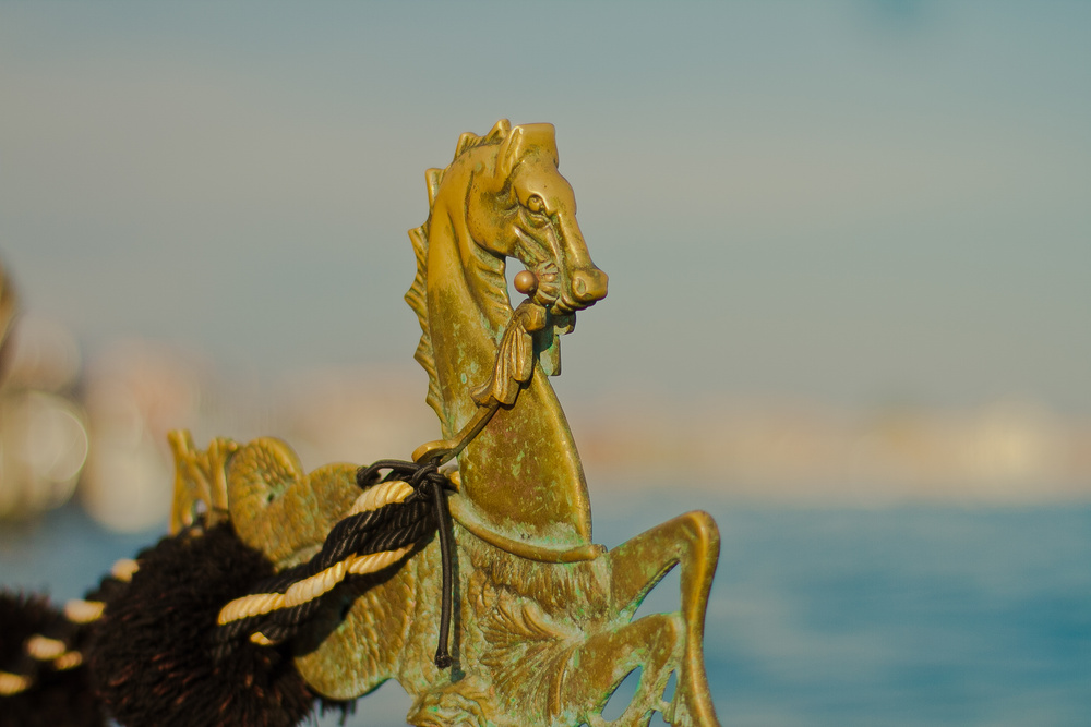 Venice wedding. Tanya Zhenya
