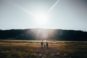 Лисички