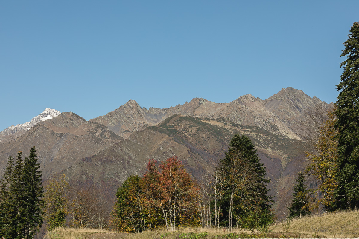 Спартакиада 