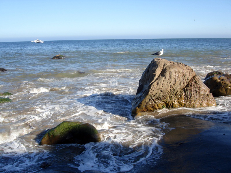 California'2009