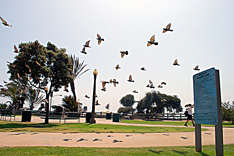 California'2009