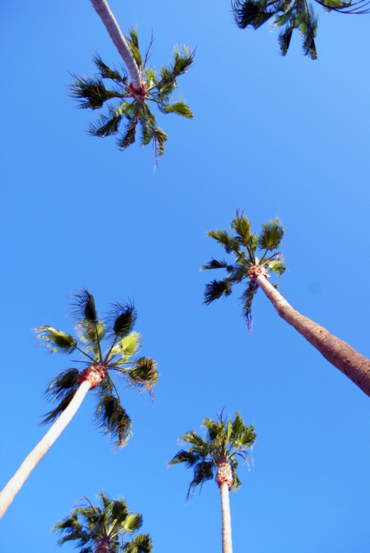 California'2009