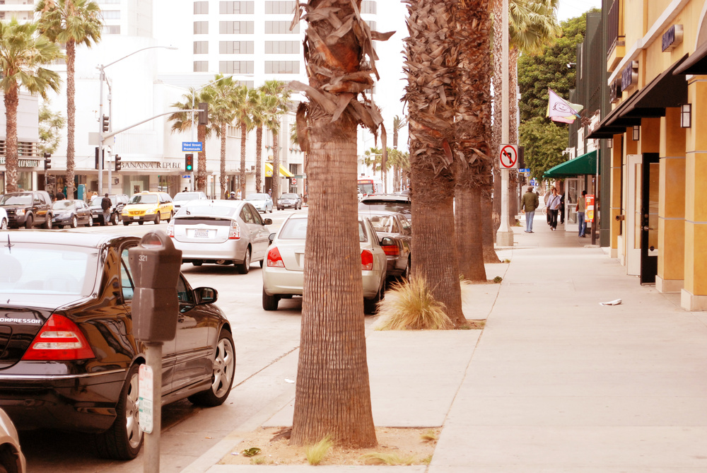 California'2009