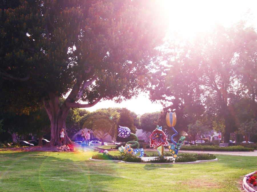 California'2009
