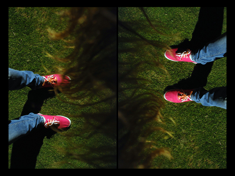 California'2009