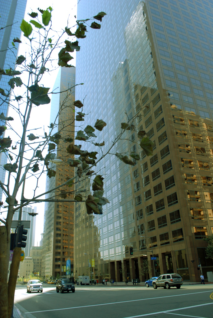 California'2009