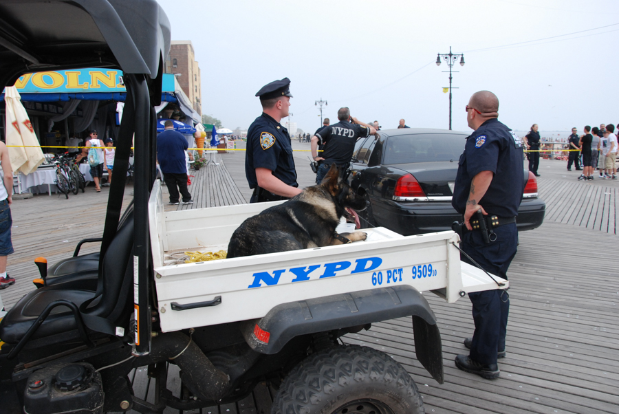 New York'2011