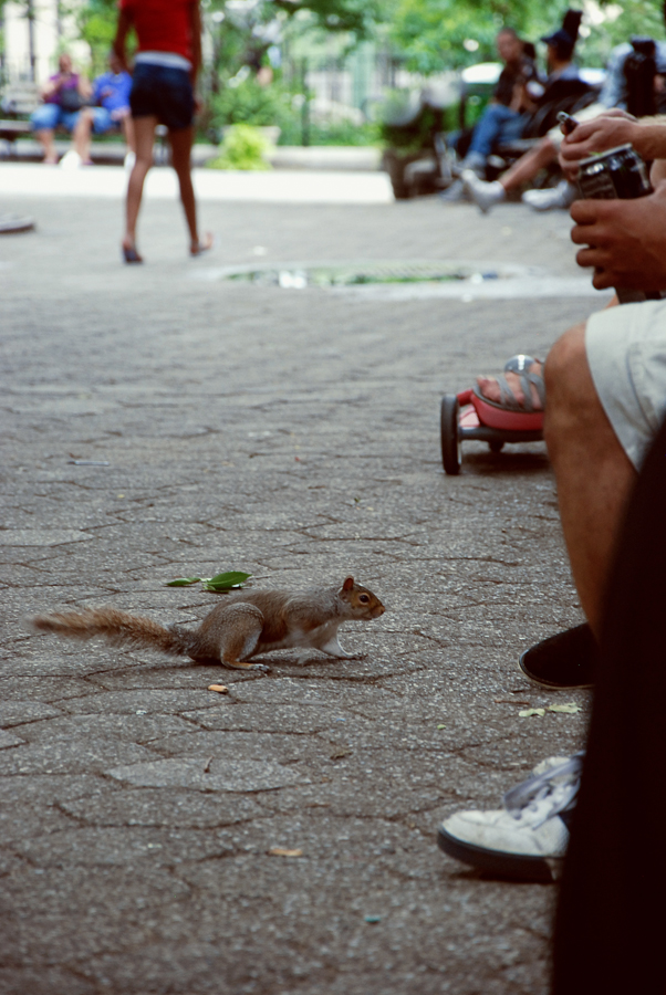New York'2011