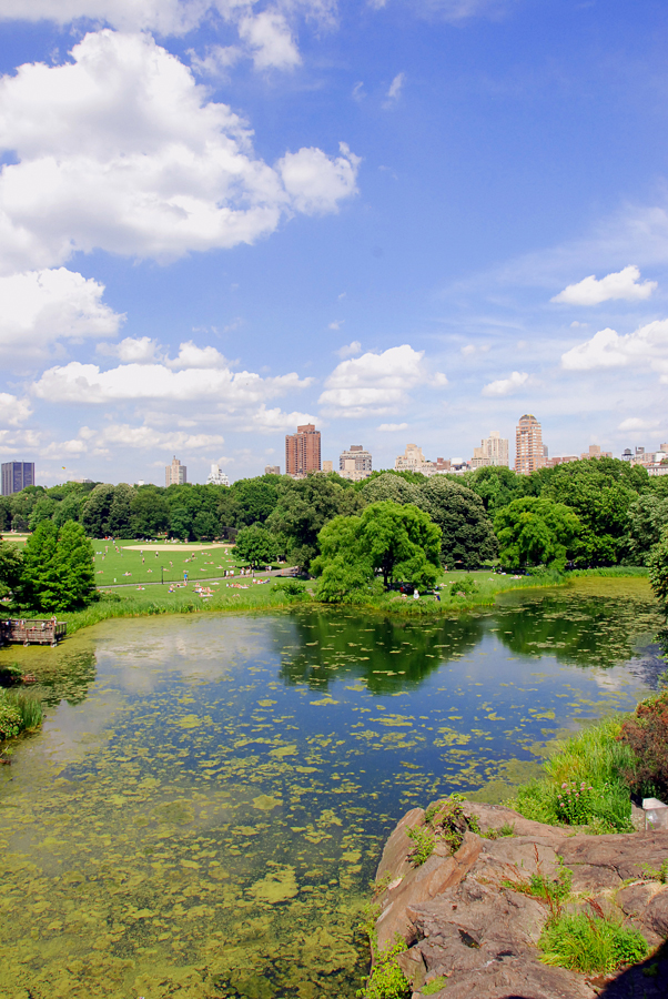 New York'2011