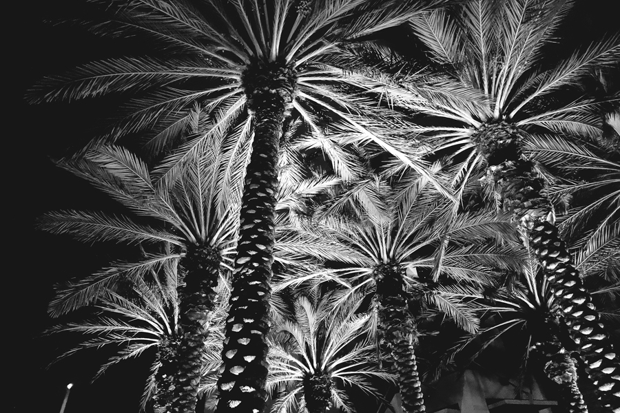 California'2013