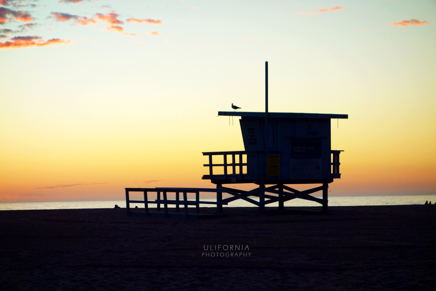 California'2013