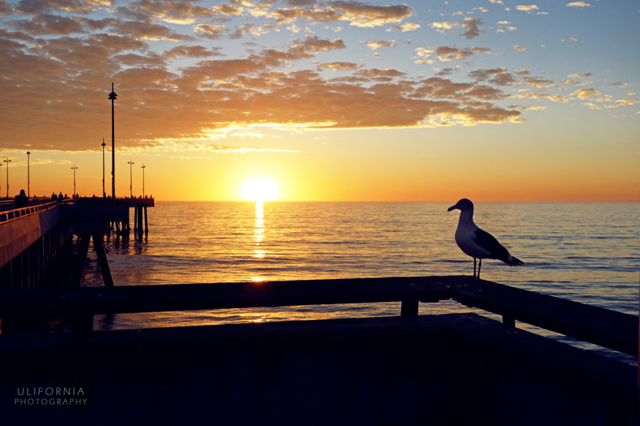 California'2013