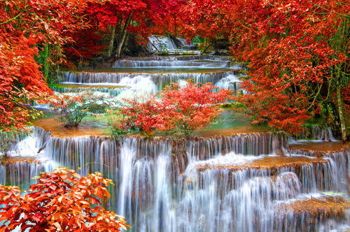 Природа