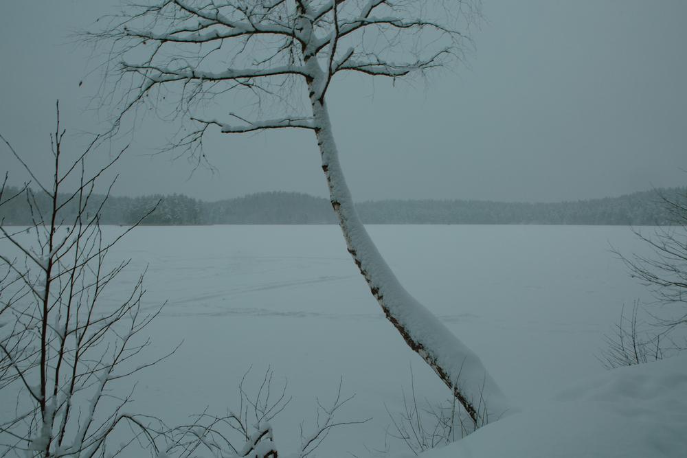 Пейзаж. Натюрморт.