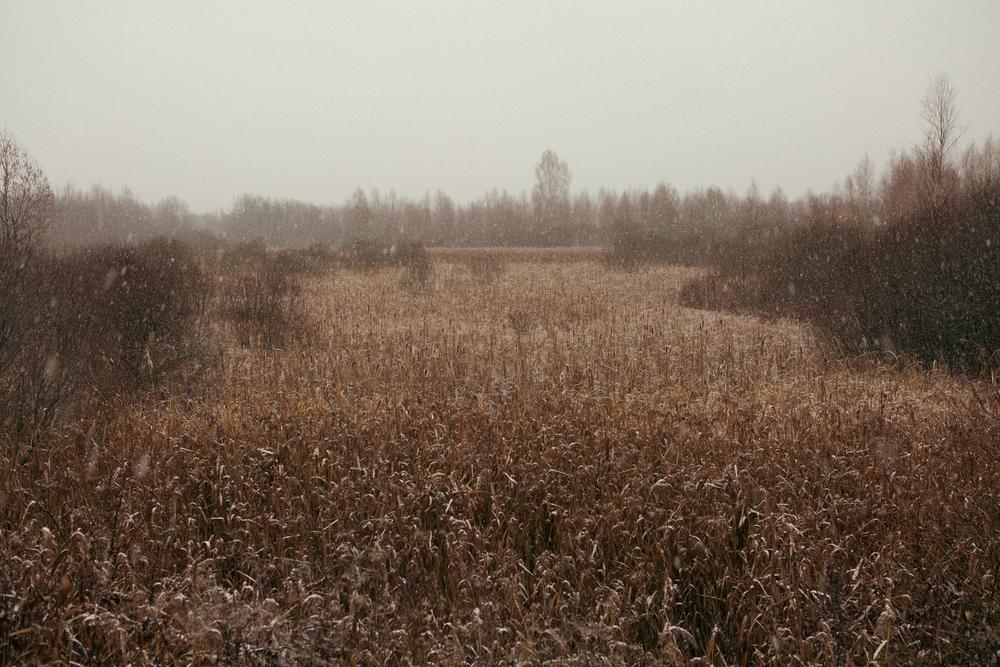 Пейзаж. Натюрморт.