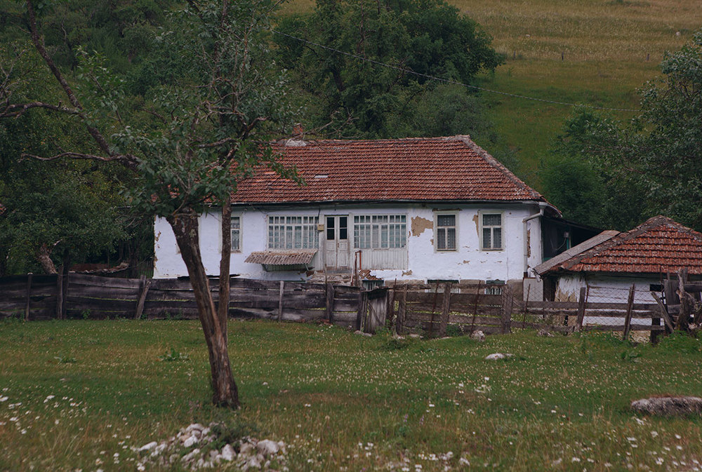 Пейзаж. Натюрморт.