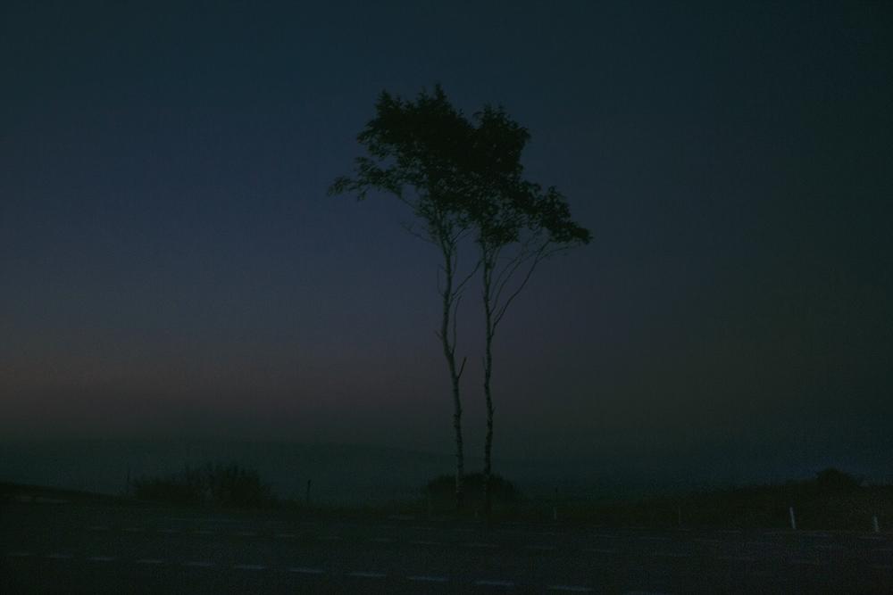 Пейзаж. Натюрморт.