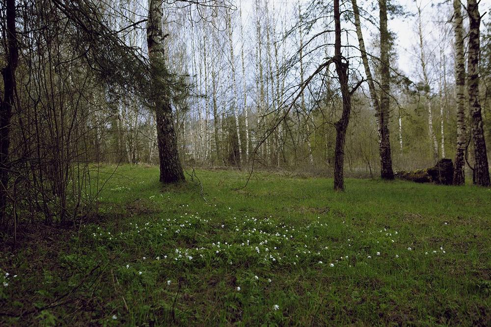 Пейзаж. Натюрморт.