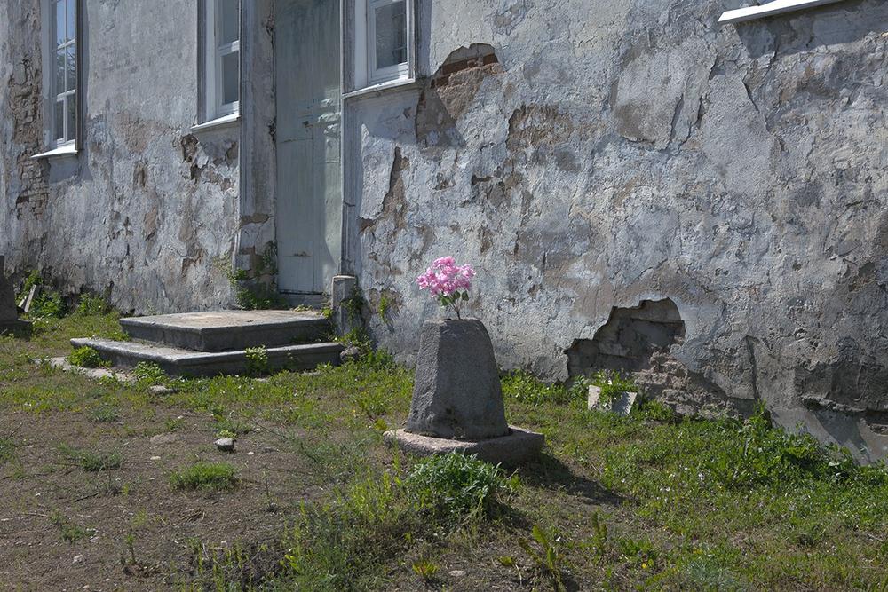 Пейзаж. Натюрморт.