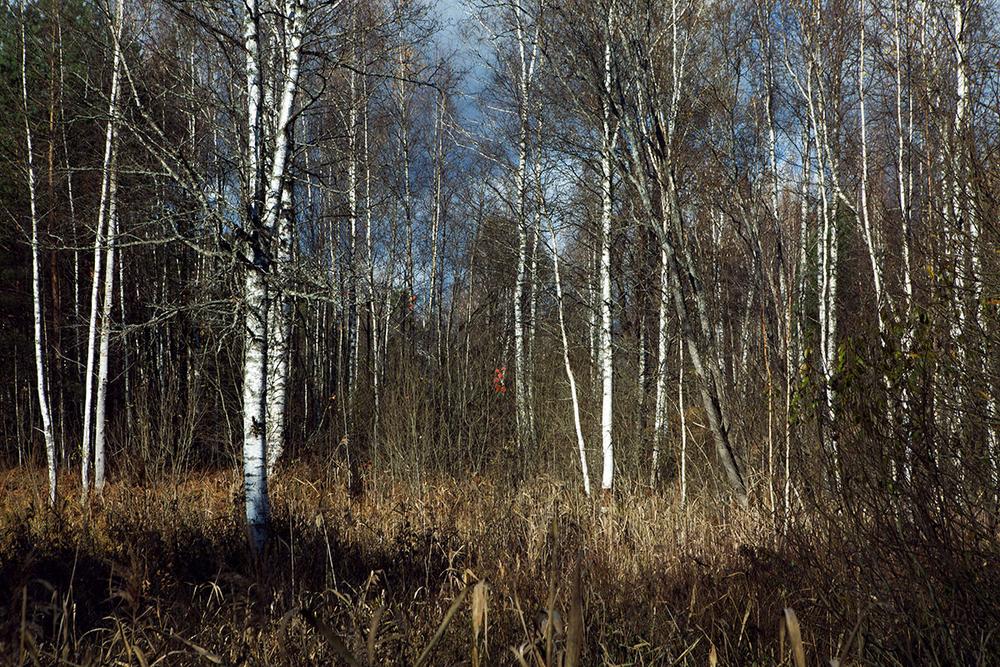 Пейзаж. Натюрморт.