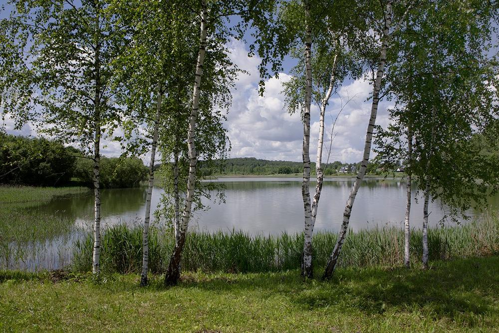 Пейзаж. Натюрморт.