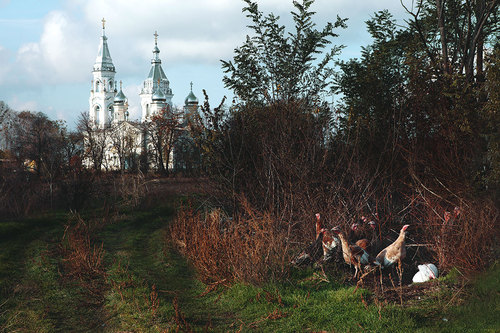 Пейзаж. Натюрморт.