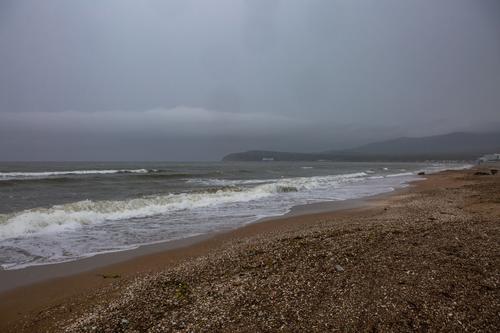 Пейзаж. Натюрморт.