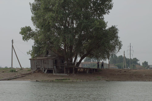 Пейзаж. Натюрморт.