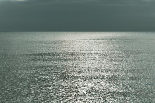 Пейзаж. Натюрморт.