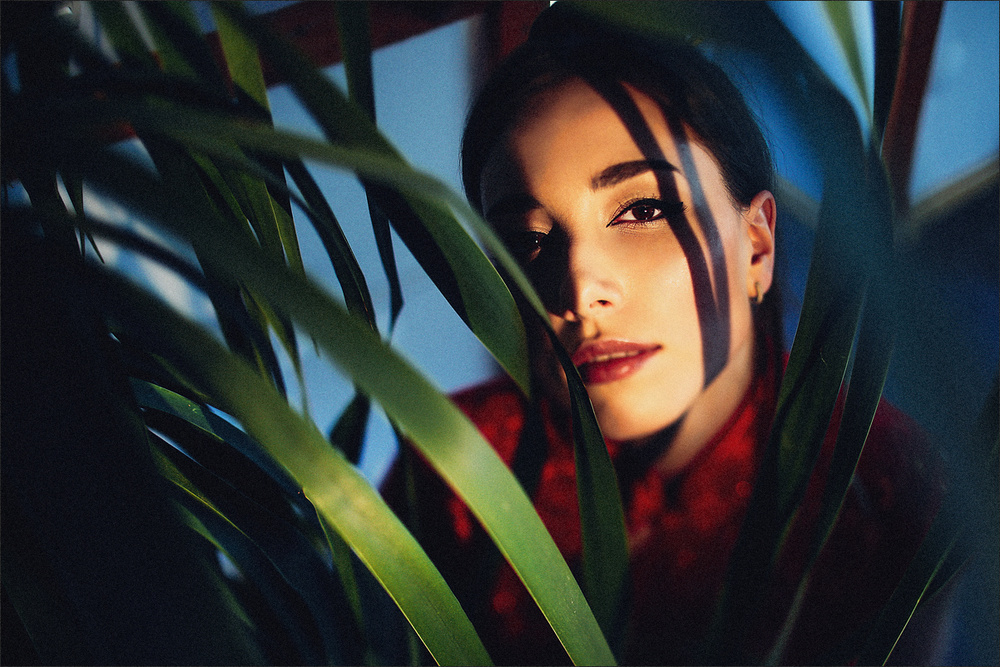Portrait - Те Гуань Инь