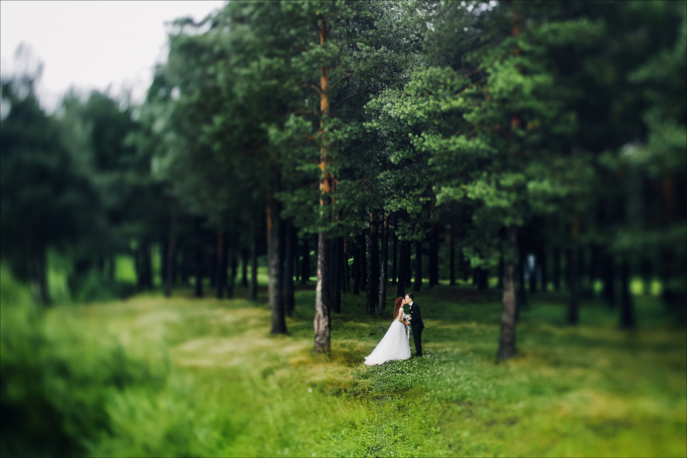 Wedding - Даша и Костя