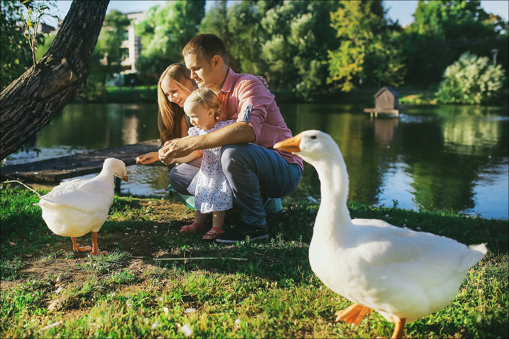 Family - Крошка Катюша, папа, мама и гуси