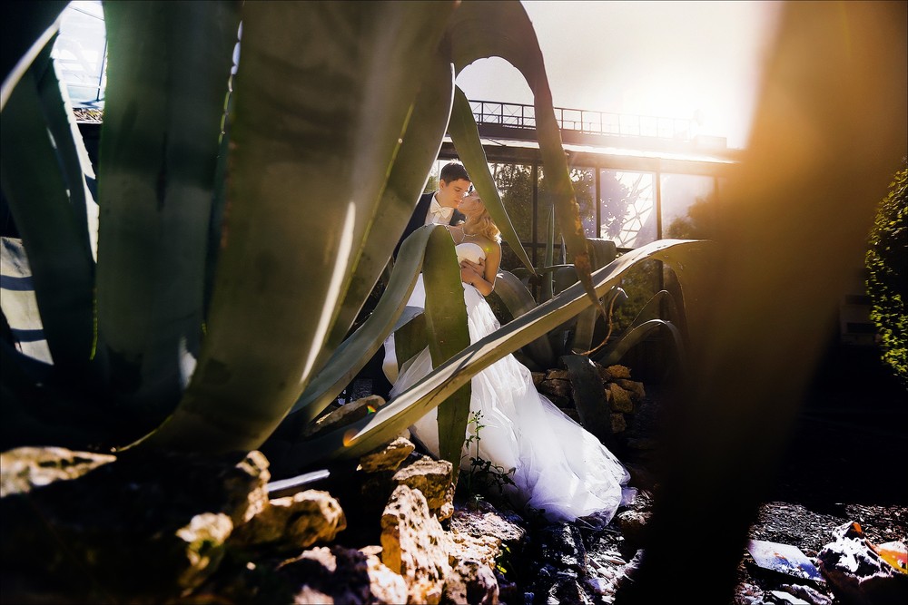 Wedding - Лиза и Дима. Москва