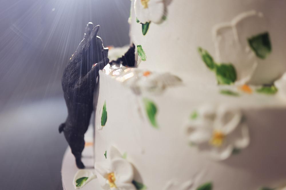 Wedding - Виктория и Михаил