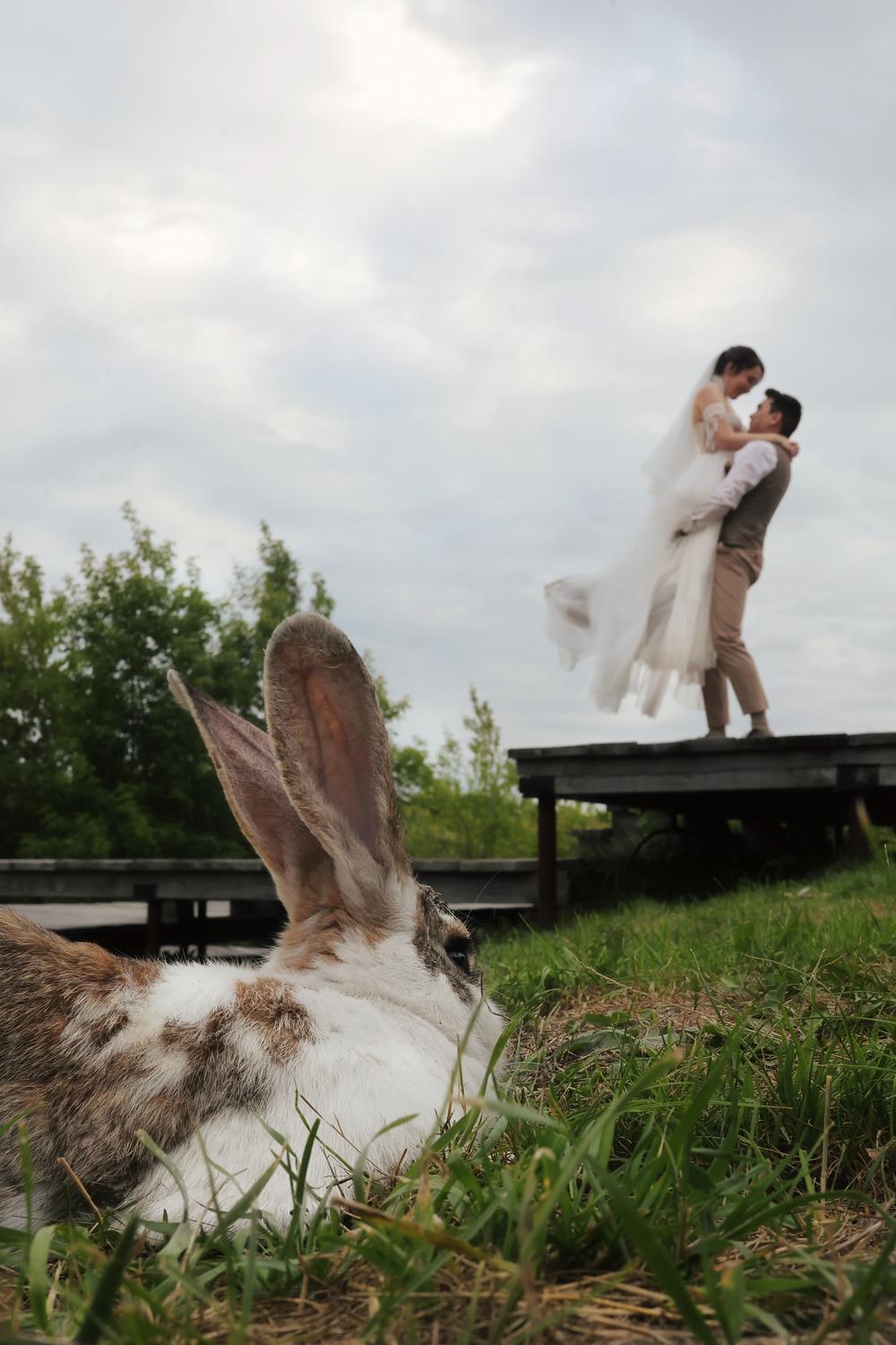 Wedding - Элина и Артем