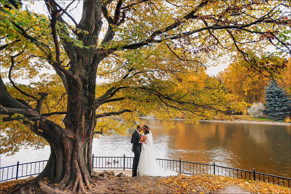 Wedding - Олеся и Дмитрий. Санкт-Петербург