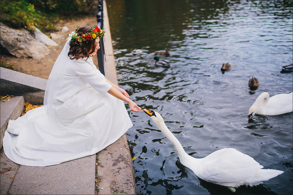 Wedding - Олеся и Дмитрий. Санкт-Петербург