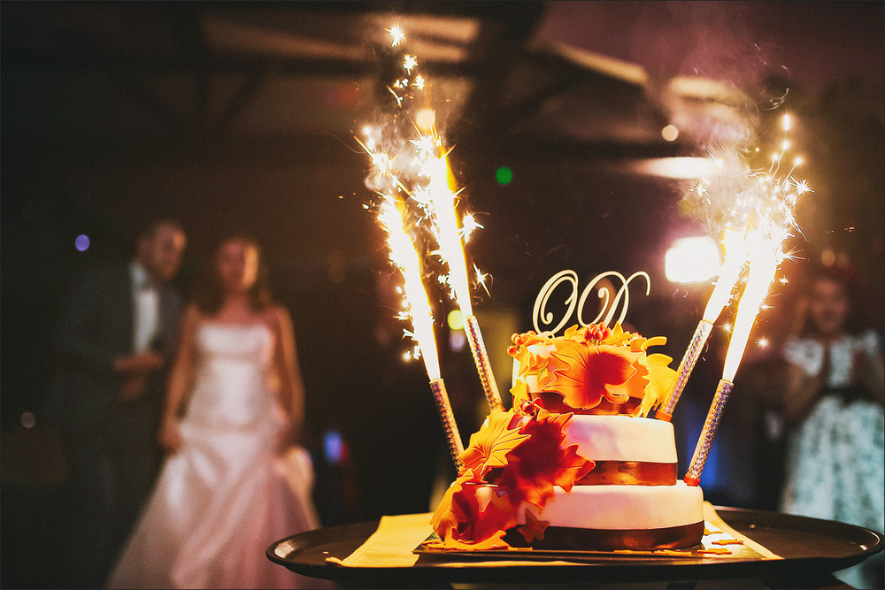Wedding - Олеся и Дмитрий. Санкт-Петербург