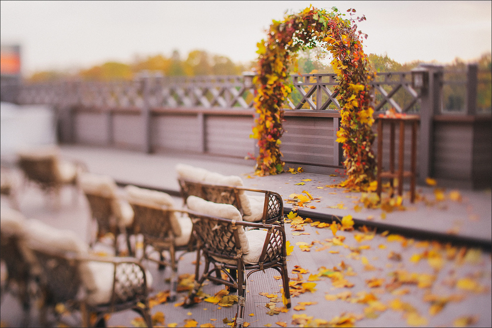 Wedding - Олеся и Дмитрий. Санкт-Петербург