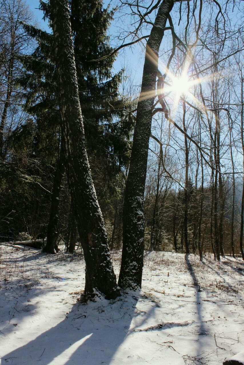 Гуканне Вясны