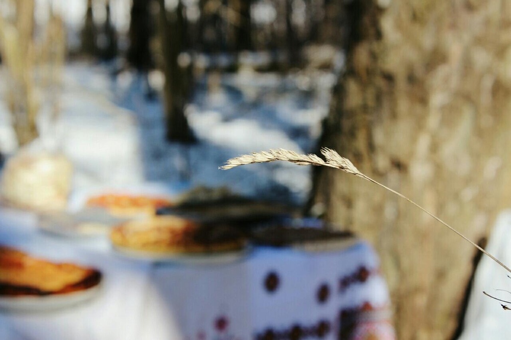 Гуканне Вясны