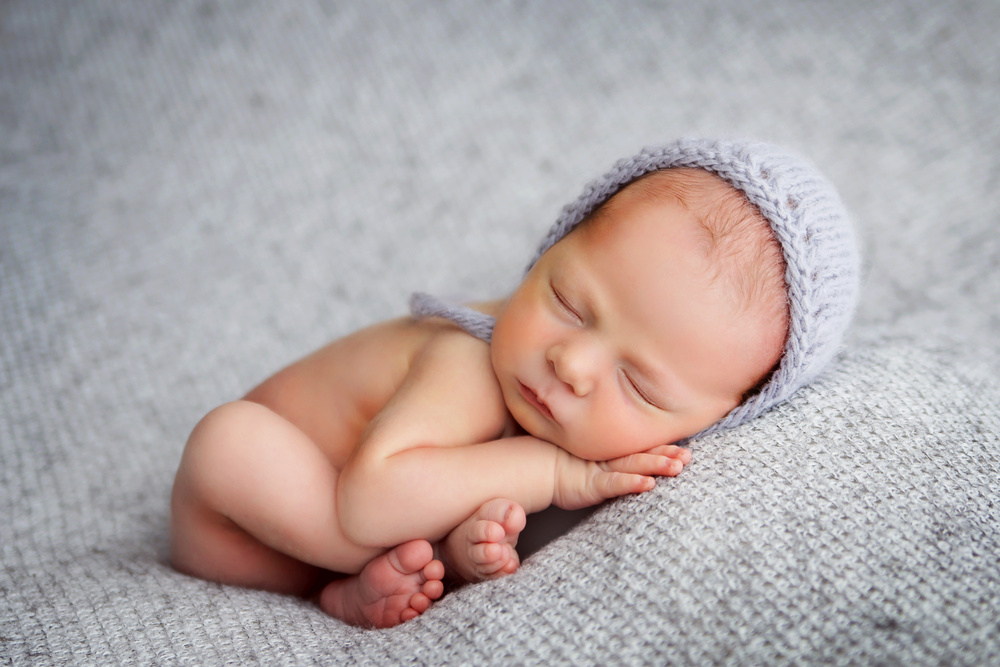 портфолио - newborn